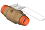 Revit Model